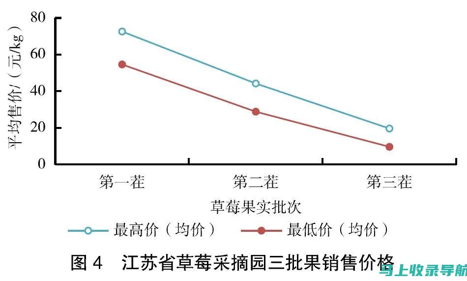 草莓销售报告：站长统计数据分析实例解析